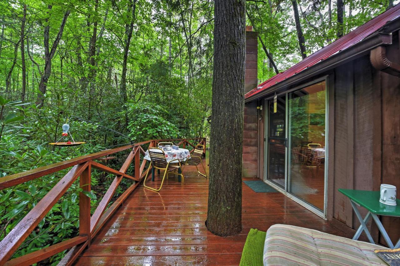 Serene Creekside Cottage Near Asheville Fire Pit Candler Exterior foto